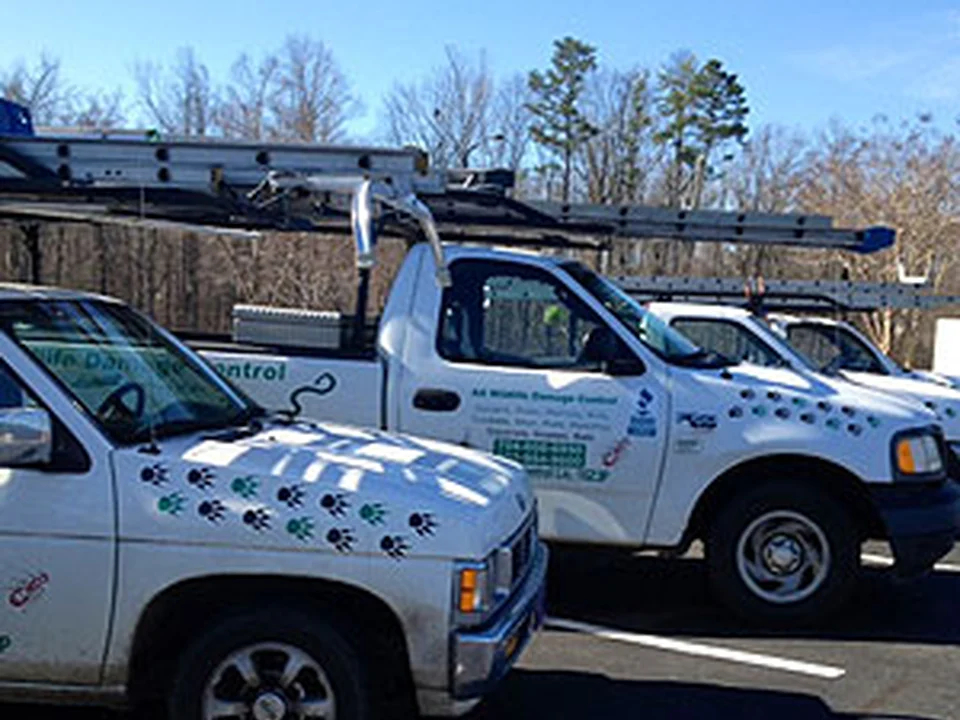 AA Wildlife and Pest Control