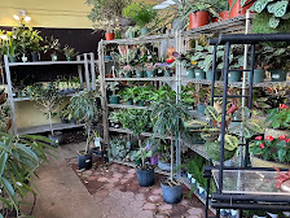 Banner Nursery & Garden Center