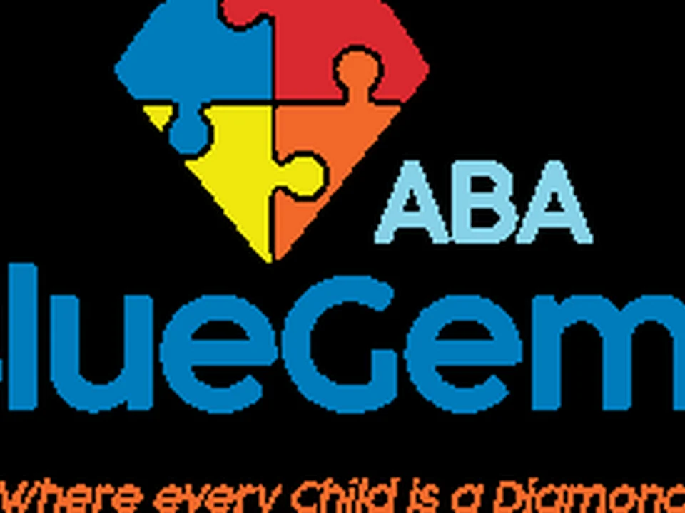 Blue Gems ABA Therapy in Charlotte North Carolina