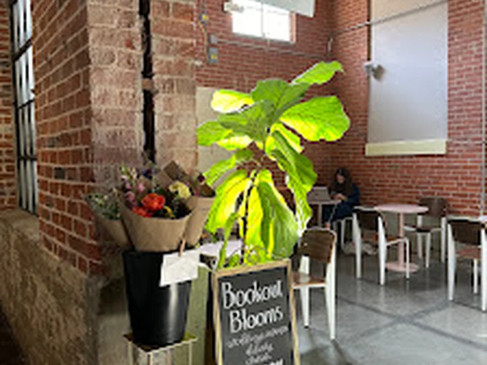 Bookout Blooms