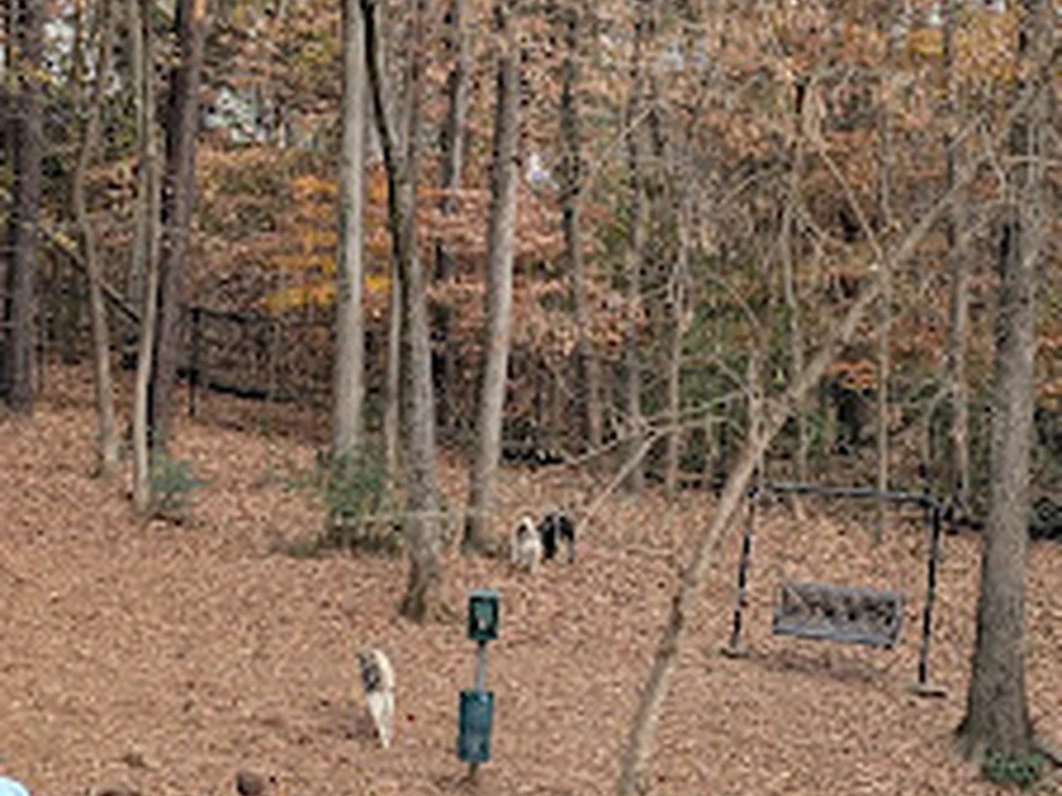 Foto de Canine Commons Dog Park