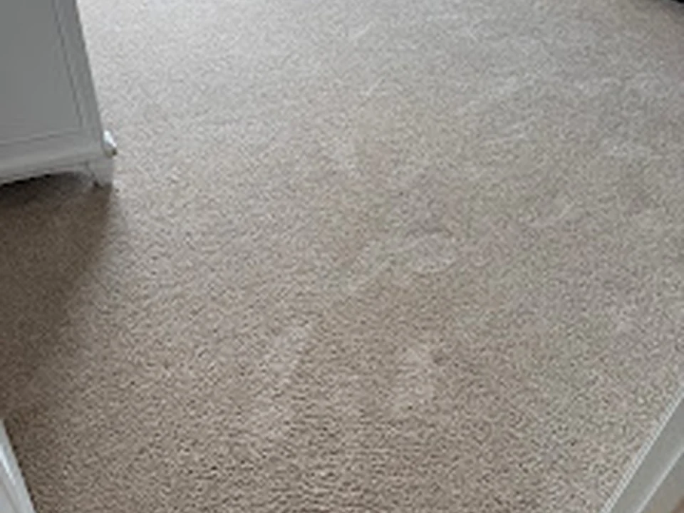 Carolina Carpet Solutions