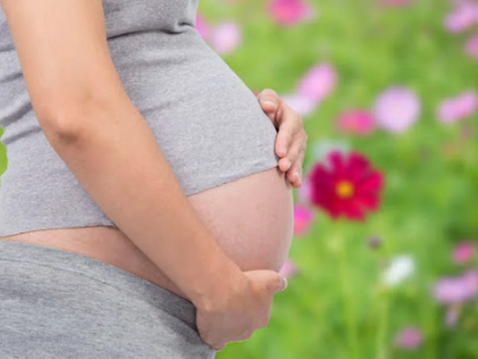 Carolina Wildflower Birth Services, LLC