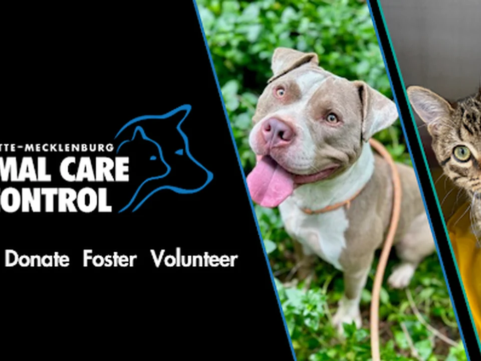 Charlotte-Mecklenburg Animal Care & Control
