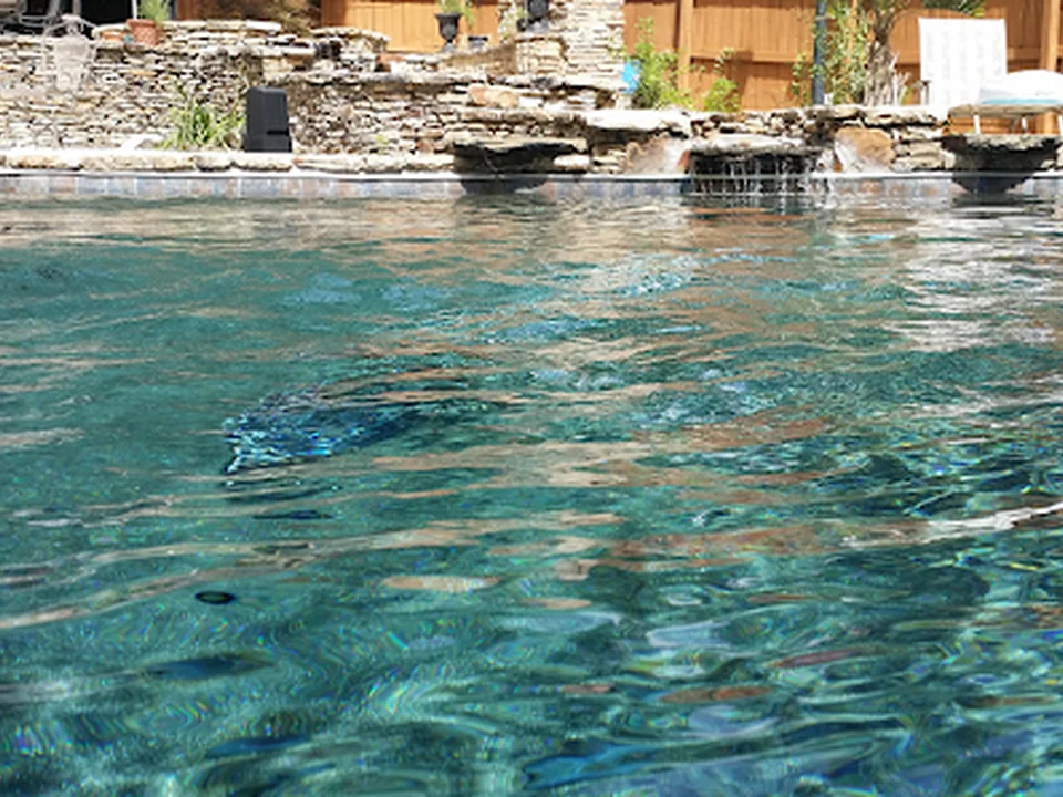 Clearwater Pool Services