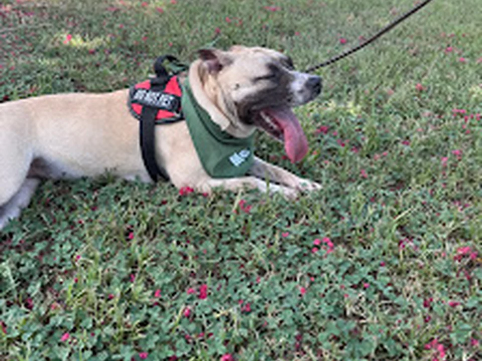 CMPD Animal Care Satellite Shelter