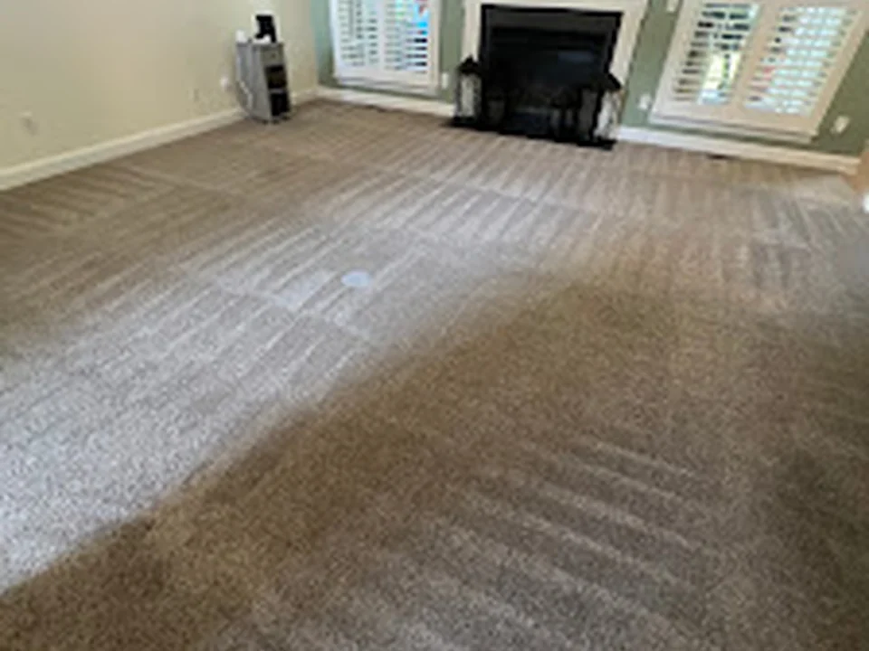 Combat Cleaning - Carpet, Biohazard, Steam, Home & Hoarding Cleaning