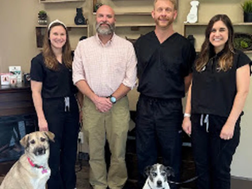 Cotswold Animal Hospital