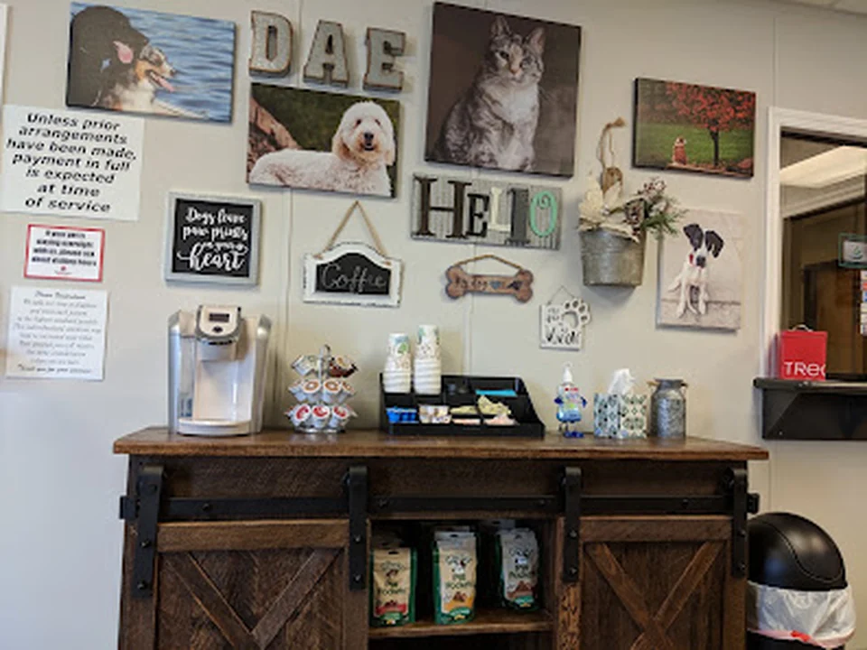 Denver Animal Emergency
