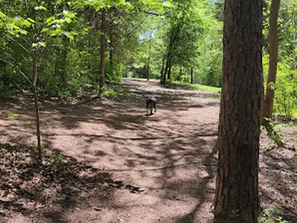 Dog Park at Clarks Creek Community Park