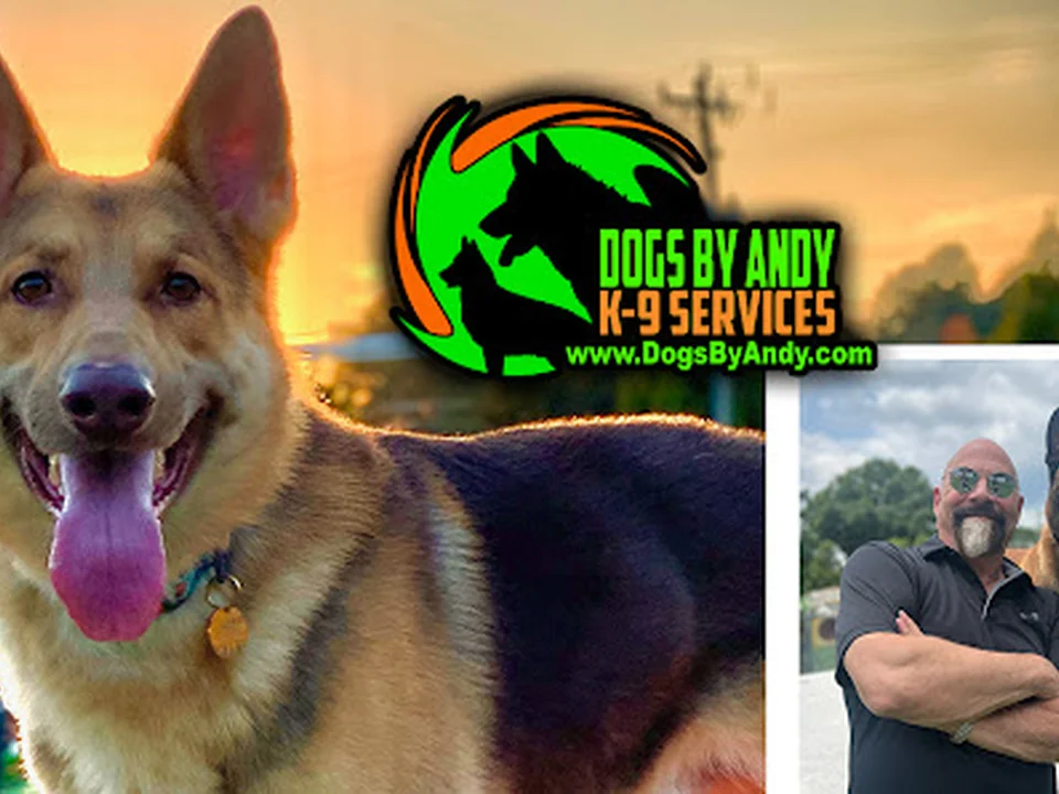 Dogs By Andy K-9 Services