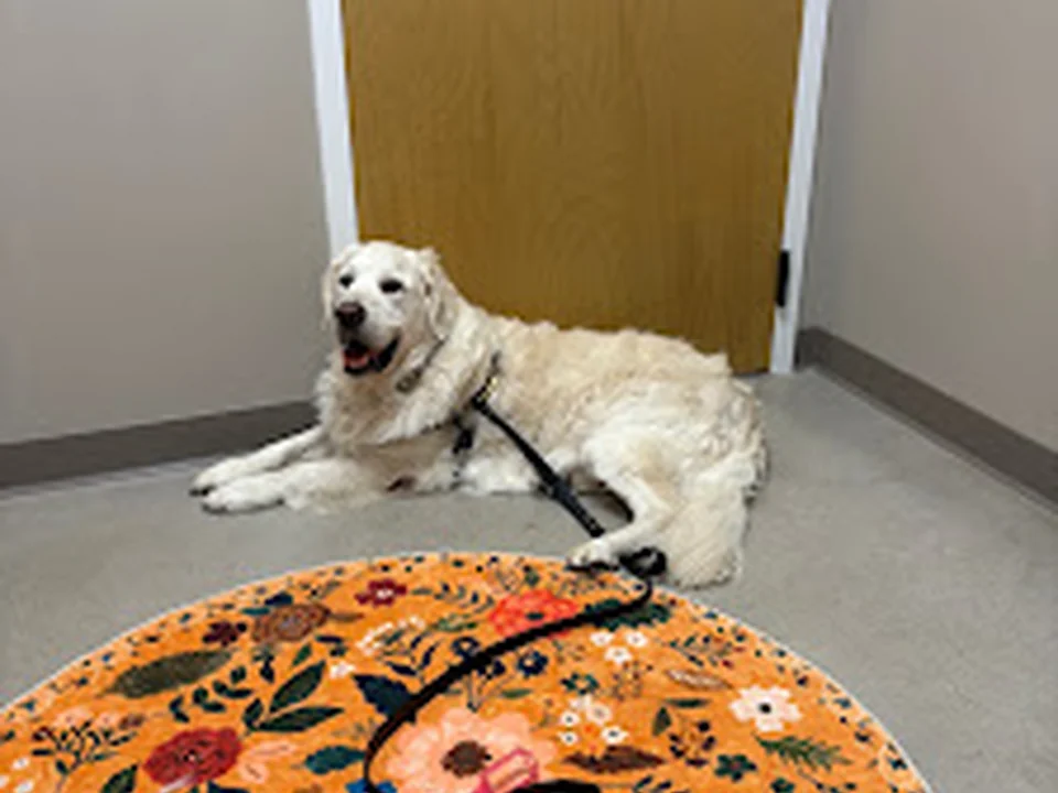 East Side Animal Hospital