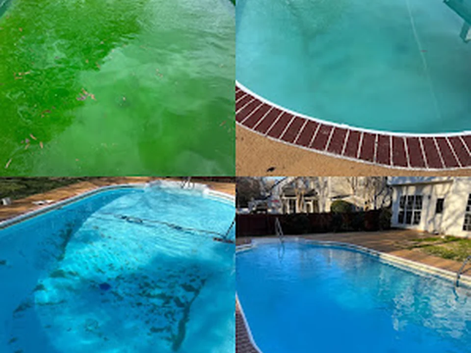 Freedom Pool Service