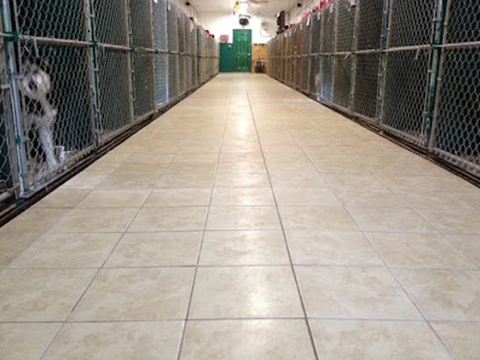 Happy Tails Kennel