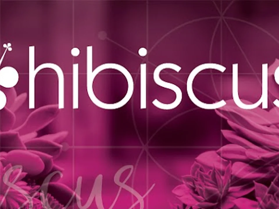 Hibiscus