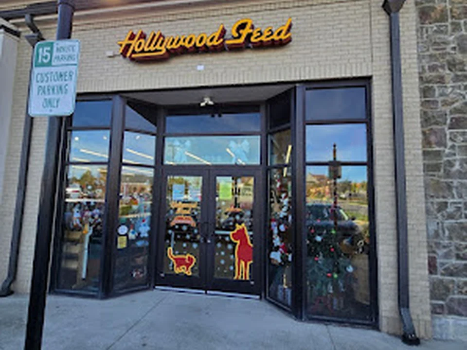 Hollywood Feed