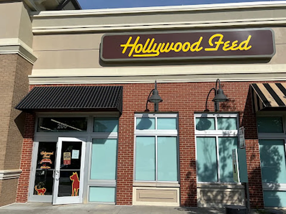 Hollywood Feed