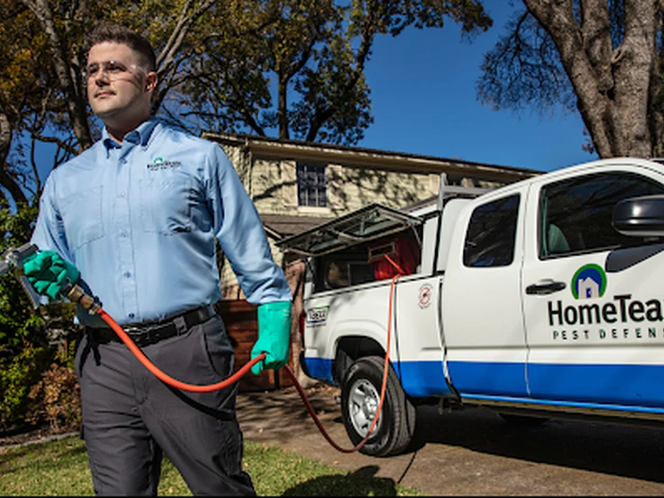 HomeTeam Pest Defense
