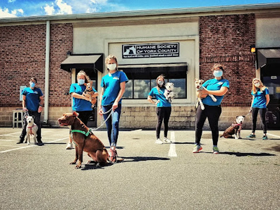 Humane Society of York County