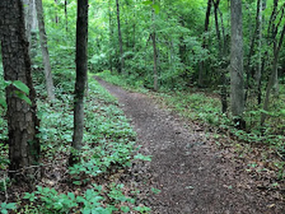 Idlewild Road Park