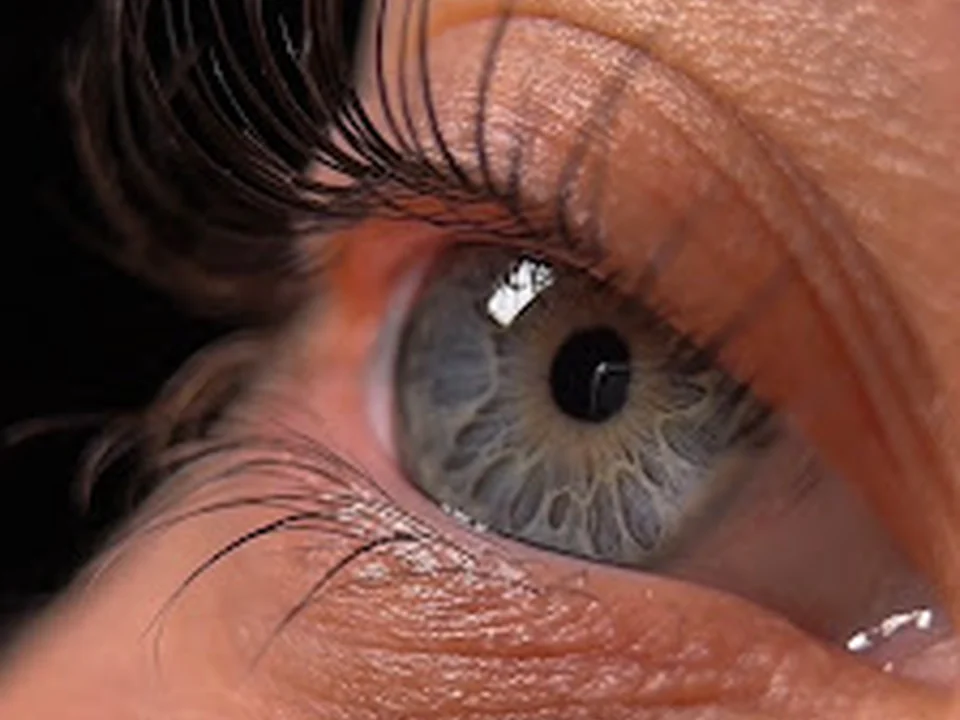 Kulshaeva_Browlash