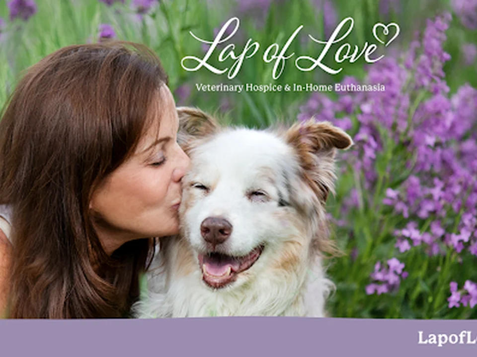 Lap of Love - Charlotte