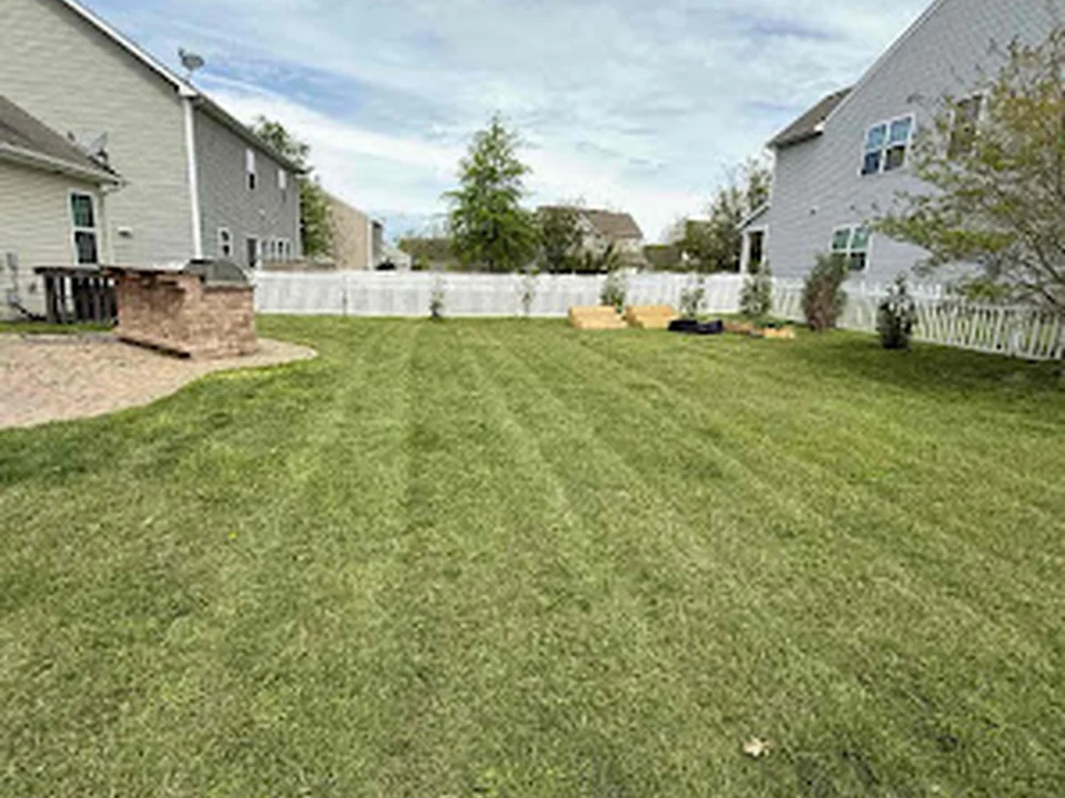 Lawn Love - Charlotte