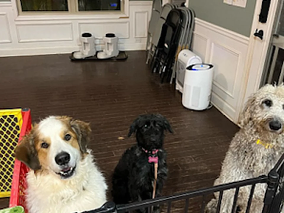 Love and Kisses Pet Sitting