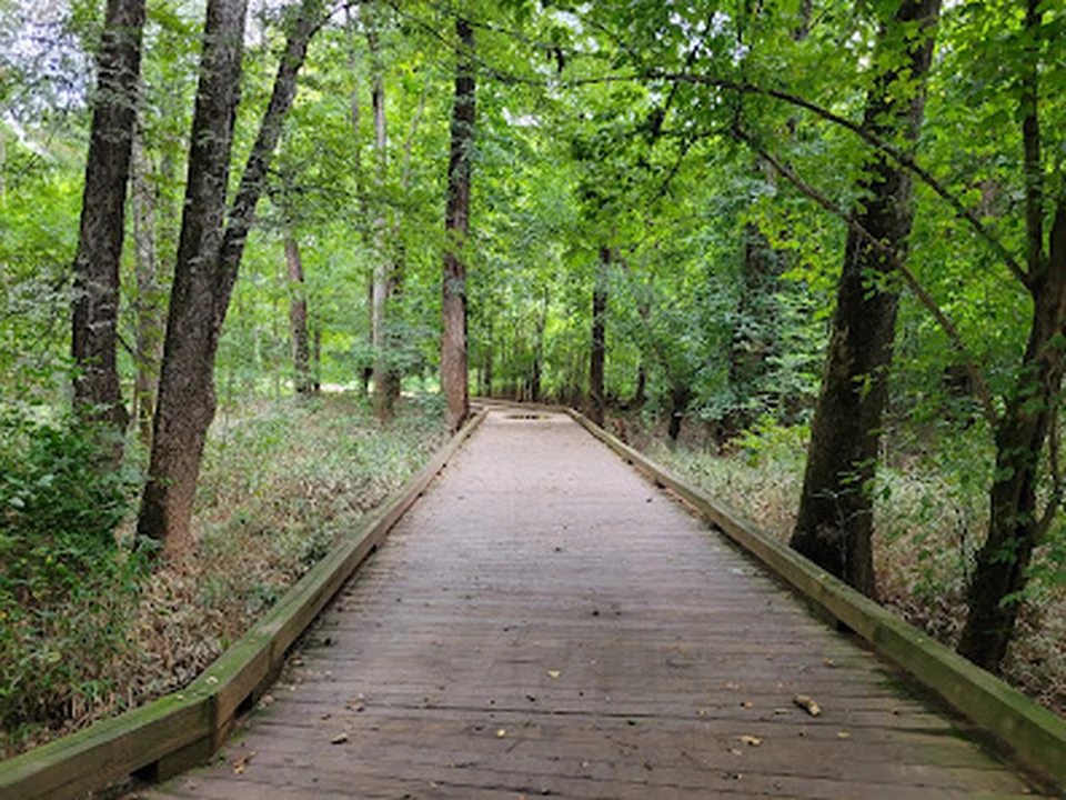 Lower McAlpine Creek Greenway