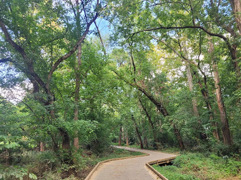 Lower McAlpine/McMullen Creek Greenway