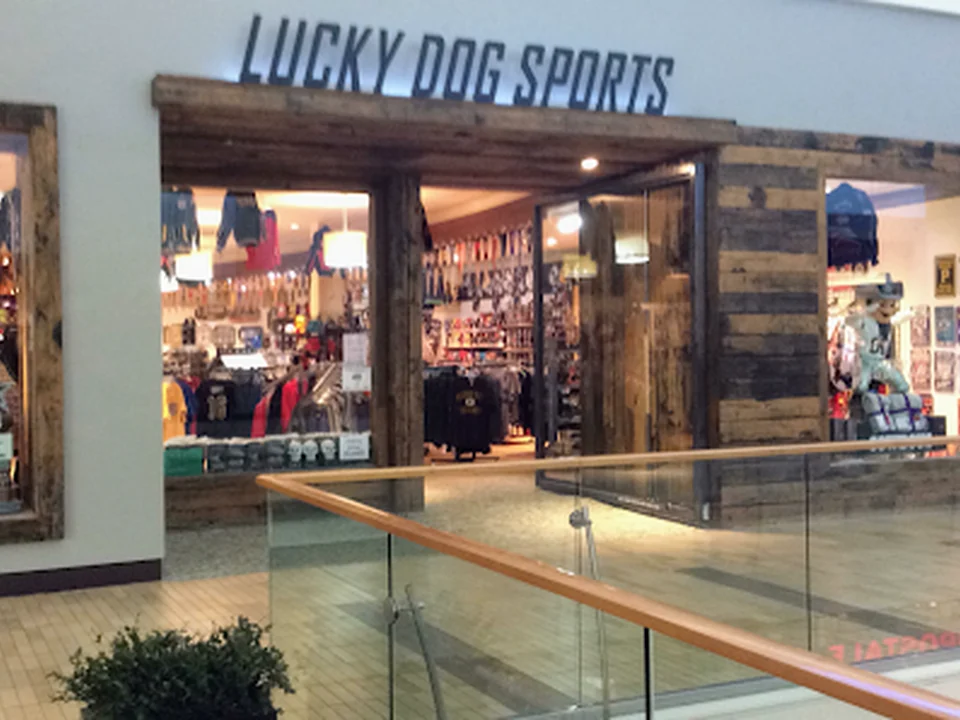 Lucky Dog Sports