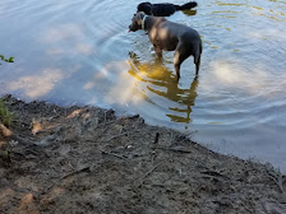 Mary Warner Mack Dog Park (private)