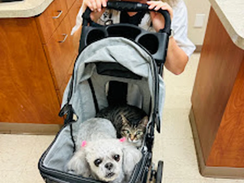 Foto de Matthews Animal Clinic