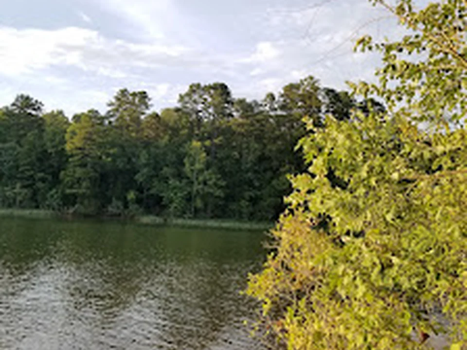 North Kayak Access Latta Plantation