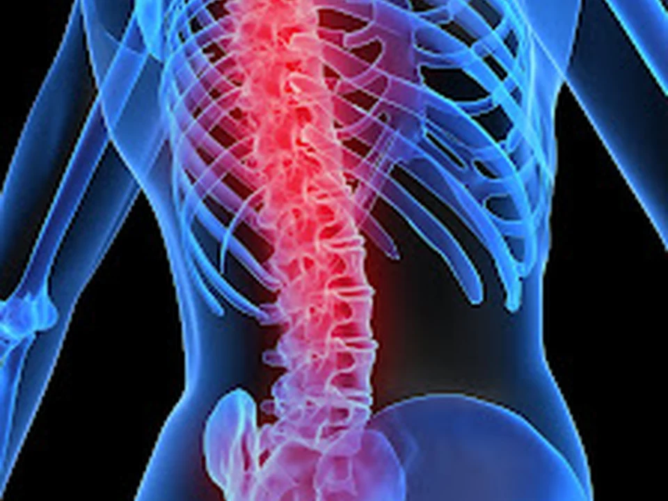 Foto de Ortho Sport & Spine Physicians