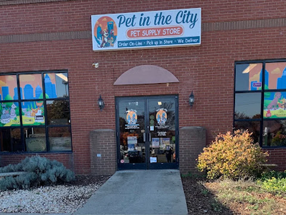 Pet in the City