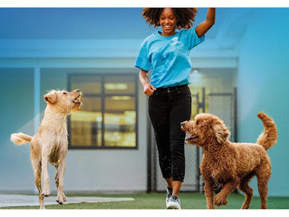 Pet Paradise Charlotte