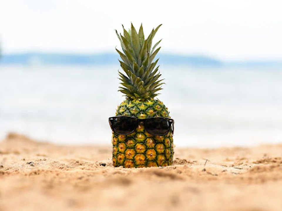 Pineapple Consulting Firm