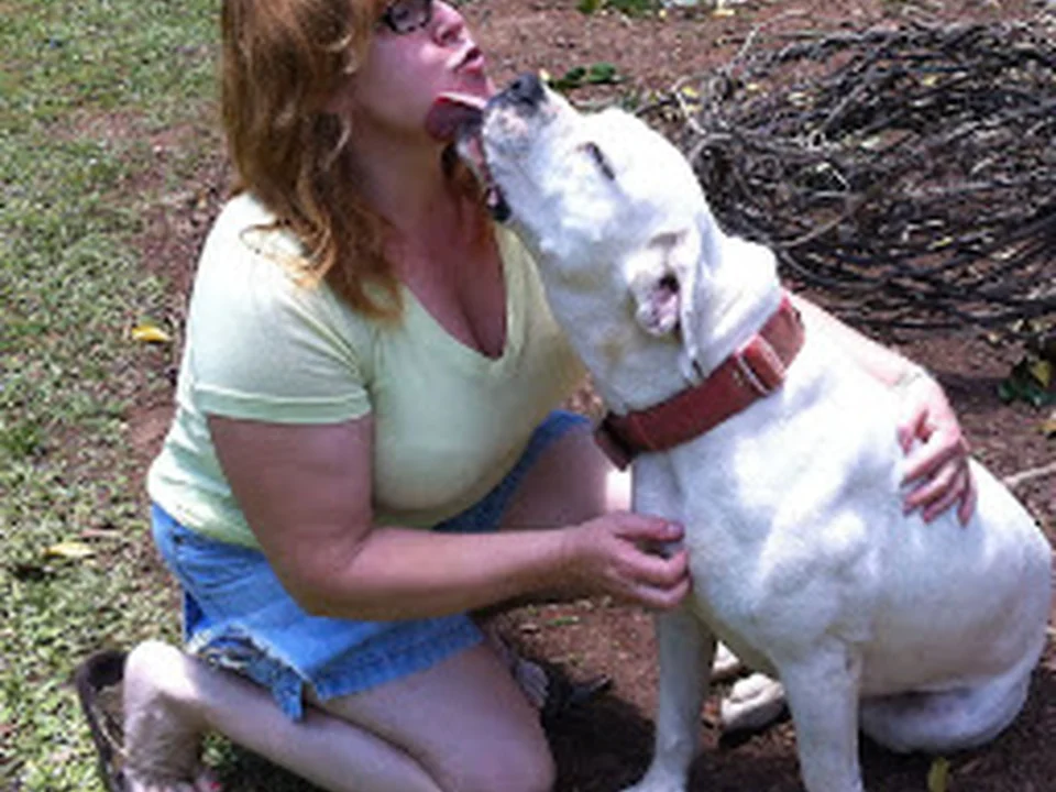 Re-Treat4Dogs
