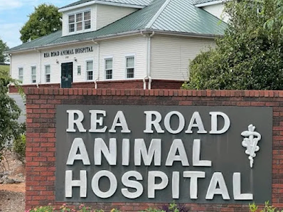 Foto de Rea Road Animal Hospital