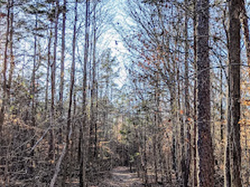 Reedy Creek Park Dog Park