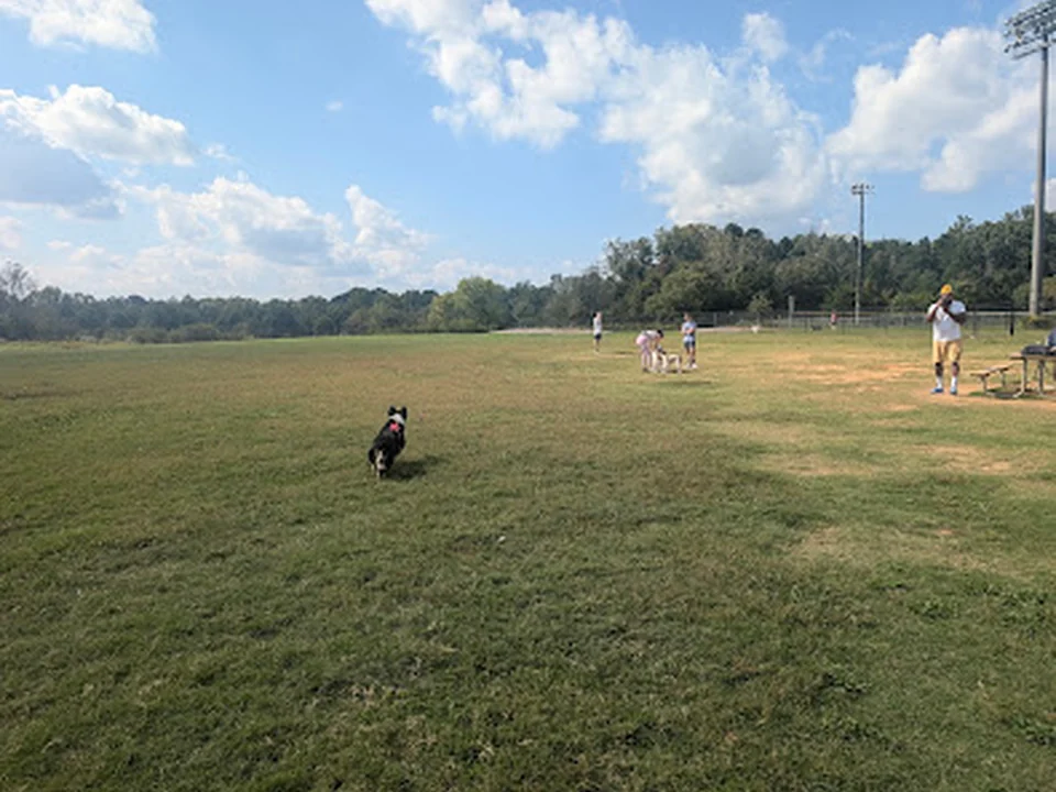 Renaissance Dog Park