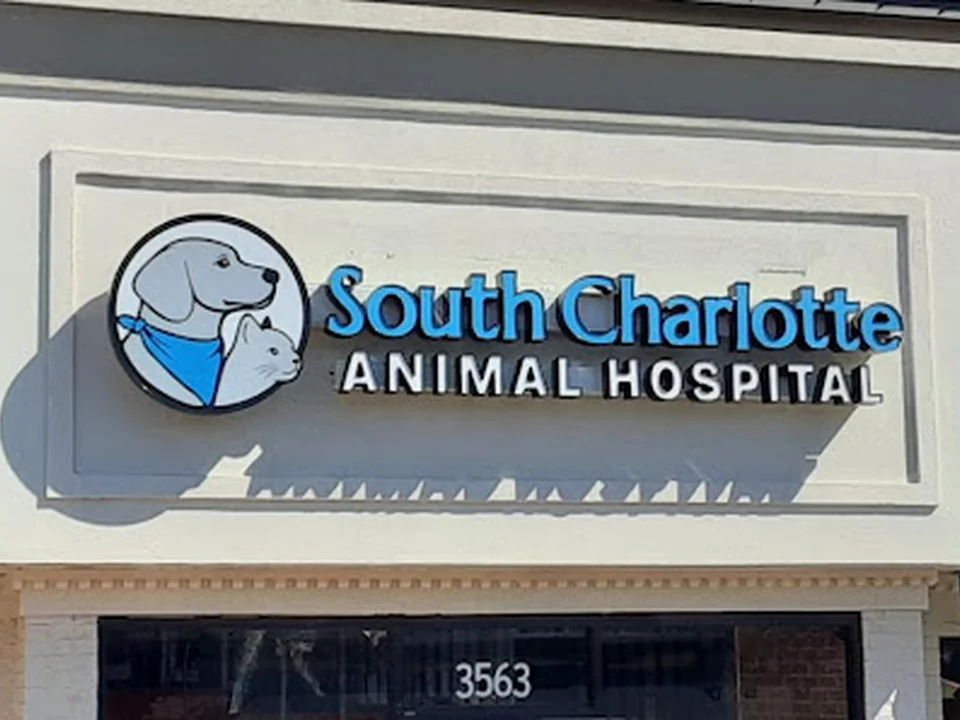 South Charlotte Animal Hospital