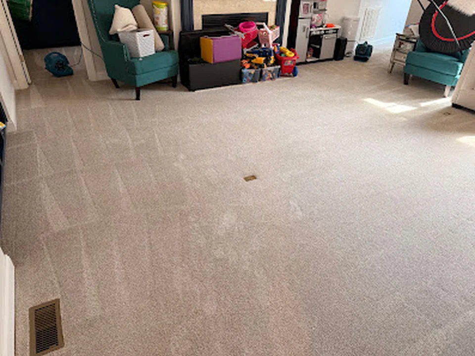 The Carpet Guy