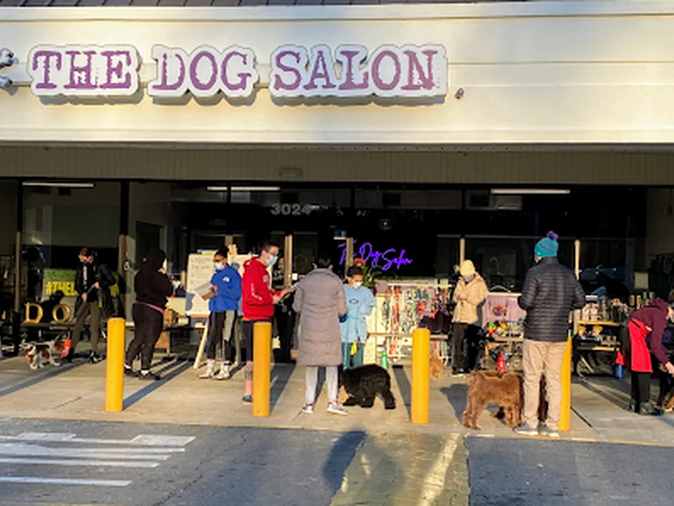 The Dog Salon