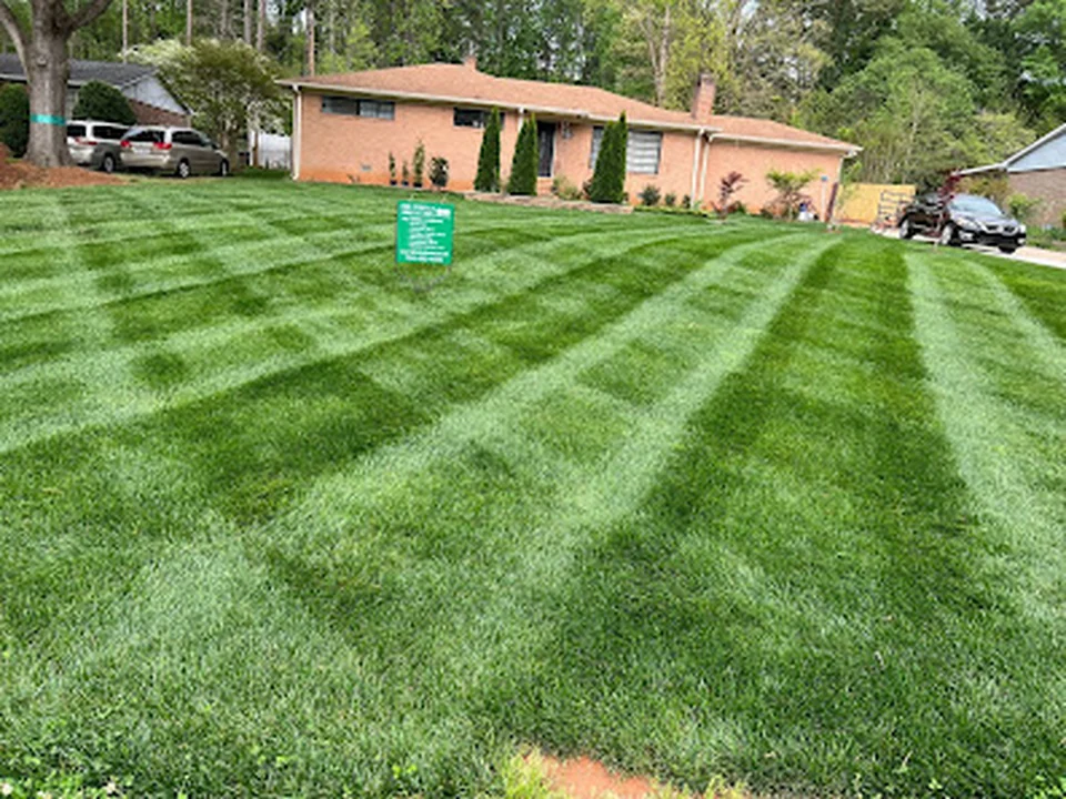 The Perfect Green Lawn