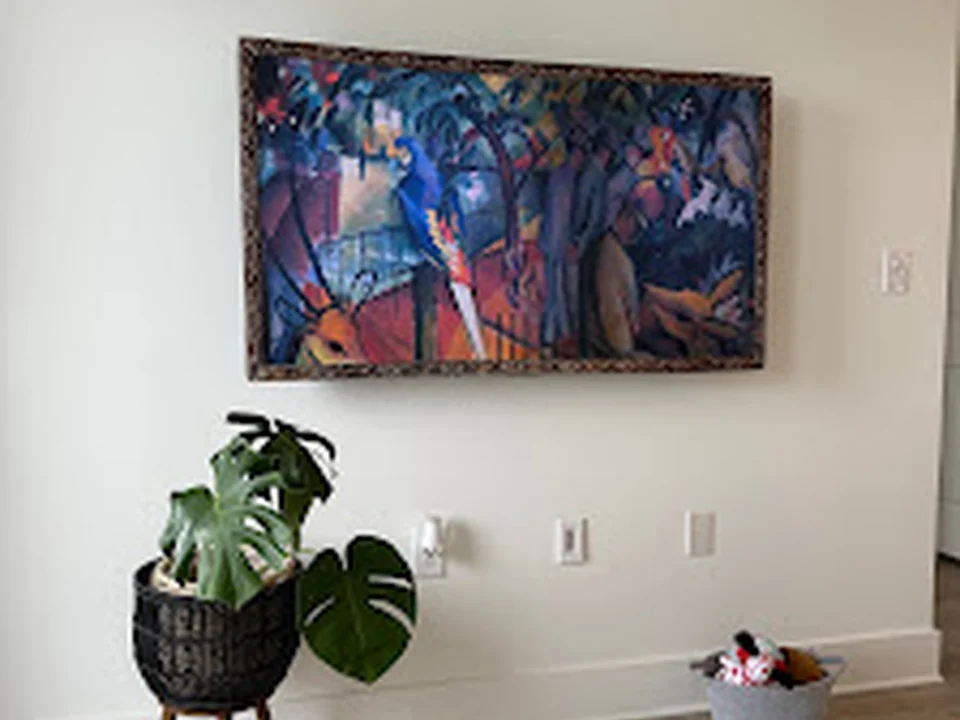 Trelles Service LLC - tv mounting & lighting installation