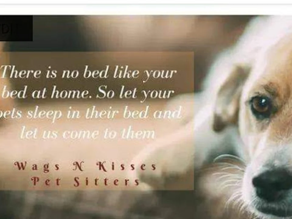 Foto de Wags N' Kisses Pet Sitting & Dog Walking