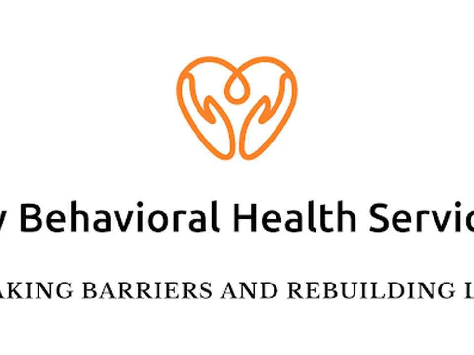 Wesley Behavioral Health Services