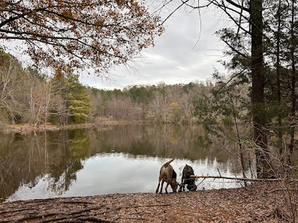 Whitewater Center Off Leash